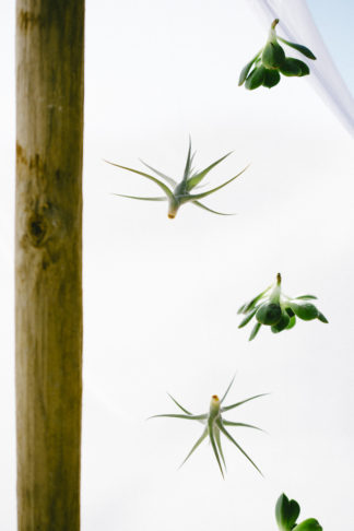 Muse Concepts Boho Beach Wedding Shoot