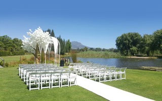 Giant Blossom Tree for Hire in Cape Town