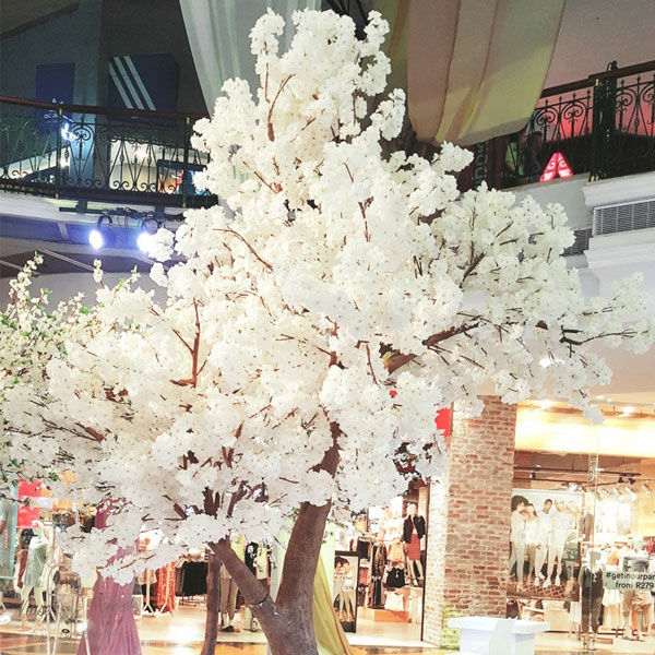 Muse Decor Hire Blossom Trees