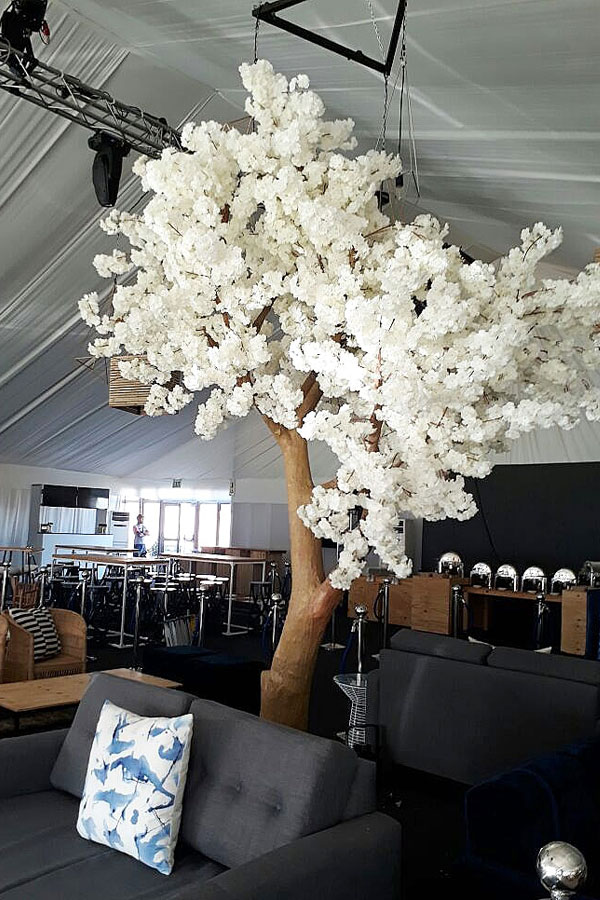 Giant Blossom Tree for Hire in Cape Town