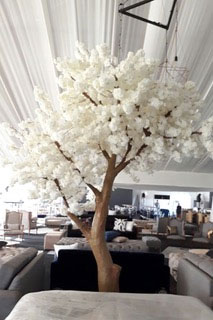 Giant Blossom Tree for Hire in Cape Town