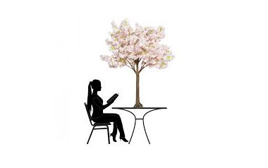 Peach Blossom Tabletop Tree for Hire