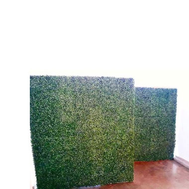 Green Plant Backdrop Wall - <p style='text-align: center;'>R 450</p>