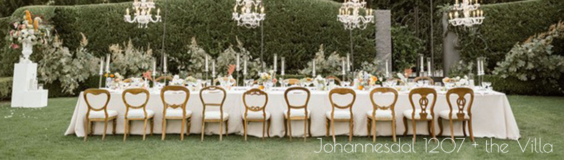 Johannesdal 1207 and the Villa